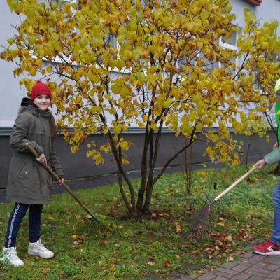 День благоустройства